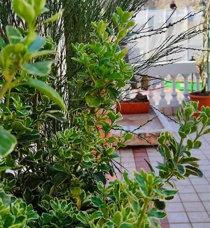 Residenza Porta Brescia Villa Peschiera del Garda Buitenkant foto